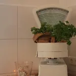 公寓 Gemuetliche In An Der Weinstrasse