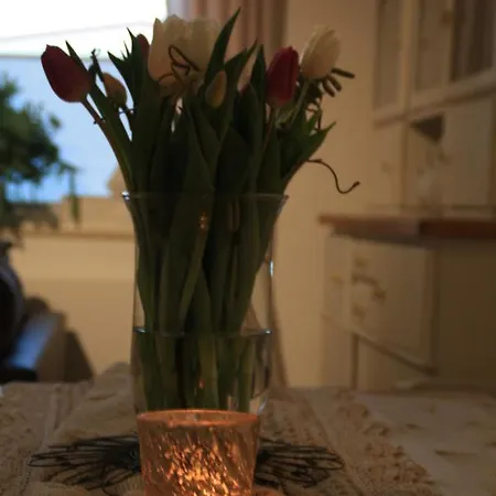Gemuetliche In An Der Weinstrasse Apartment *