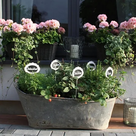 Apartment Gemuetliche In An Der Weinstrasse *