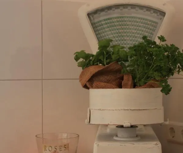 דירה Gemuetliche In An Der Weinstrasse