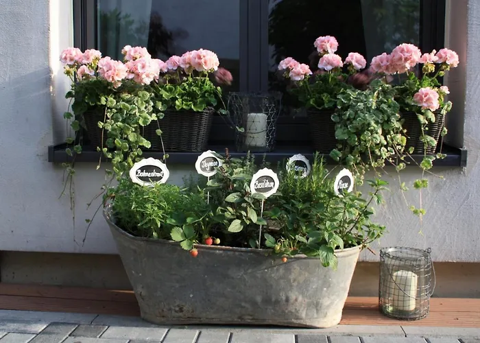 Appartamento Gemuetliche In An Der Weinstrasse *